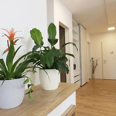 Casa de Férias Vacation Bokan *